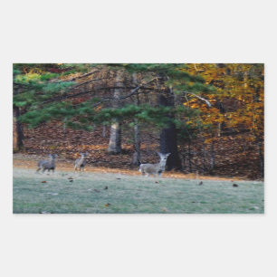 Autumn Deer in the distance Rectangular Sticker