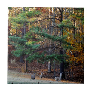 Autumn Deer in the distance Tile