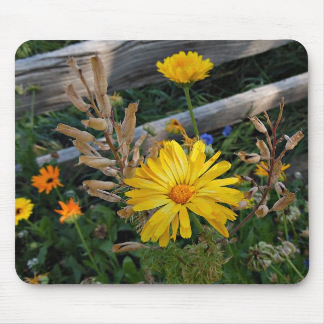 Autumn Delight Mouse Pad (Front)