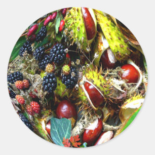 AUTUMN DELIGHTS ~ Envelope Sealers/Stickers Classic Round Sticker