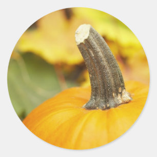 Autumn Design Classic Round Sticker