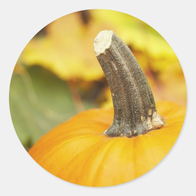 Autumn Design Classic Round Sticker (Front)