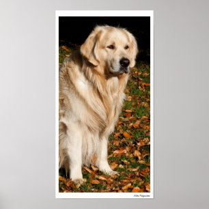 Autumn dog poster