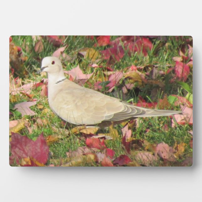 Autumn Dove Plaque (Front)