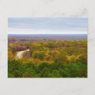 Autumn Drive Pano Postcard