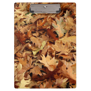 autumn, dry leaves clipboard