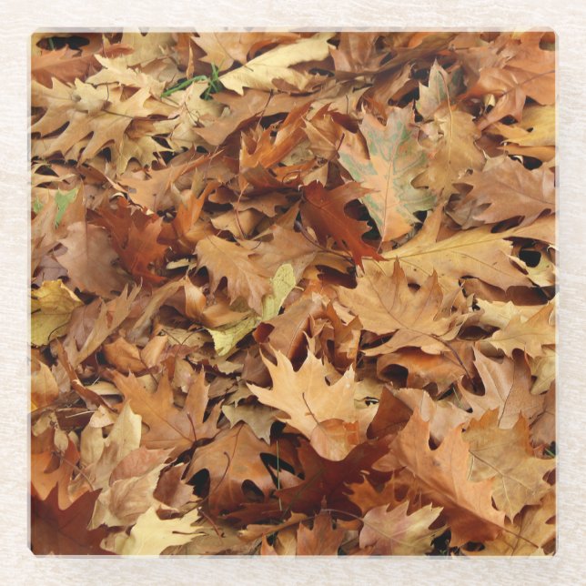 autumn, dry leaves glass coaster (Front)