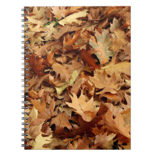 autumn, dry leaves notebook