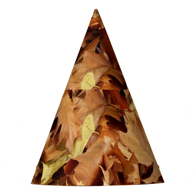 autumn, dry leaves party hat (Front)