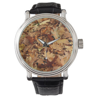 autumn, dry leaves watch