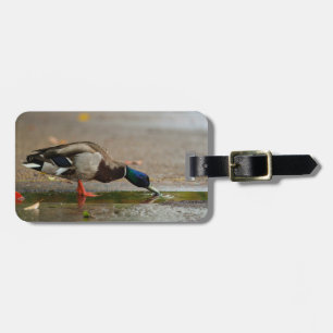 Autumn Duck Drinking Rainwater Luggage Tag