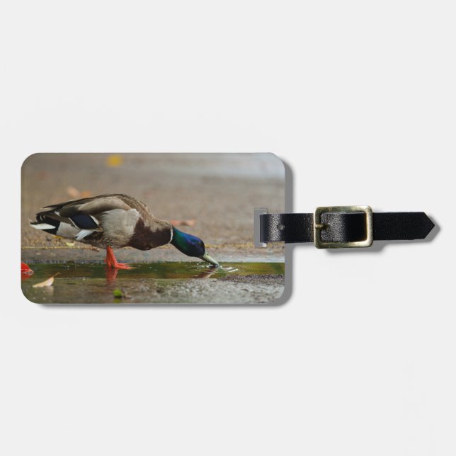 Autumn Duck Drinking Rainwater Luggage Tag (Front Horizontal)