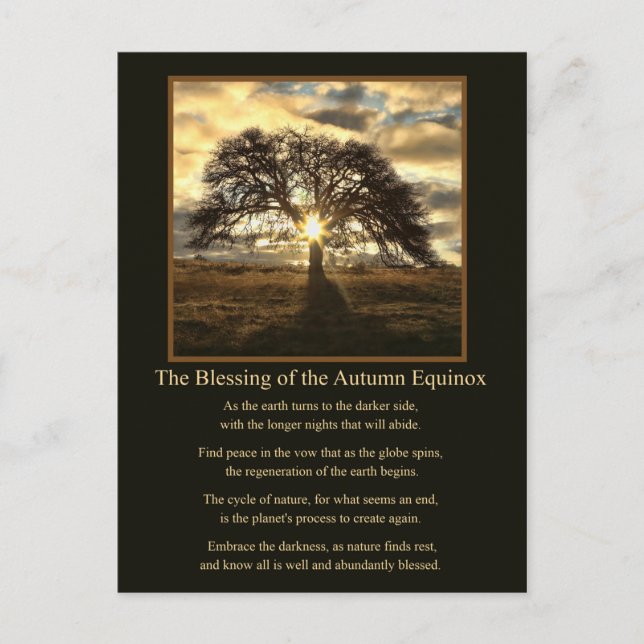 Autumn Equinox Mabon Oak Tree Blessing Postcard (Front)