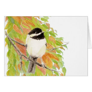 Autumn, Fall, Chickadee, Bird Nature