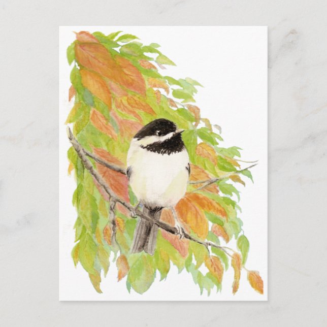 Autumn, Fall, Chickadee, Bird Nature Postcard (Front)