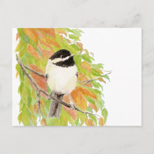 Autumn, Fall, Chickadee, Bird Nature Postcard