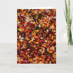 Autumn Fall Color Foliage Leaves Card