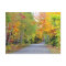 Autumn Fall Colours Road Quebec Canada Postcard