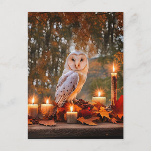 Autumn Fall Equinox Owl and Candles Mystical Holiday Postcard
