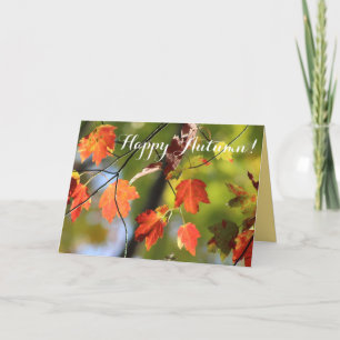 Autumn Fall Leaves Foliage Greeting Card