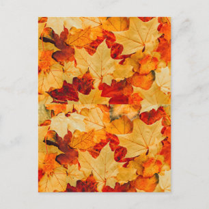 Autumn Fall Leaves Greeting Card