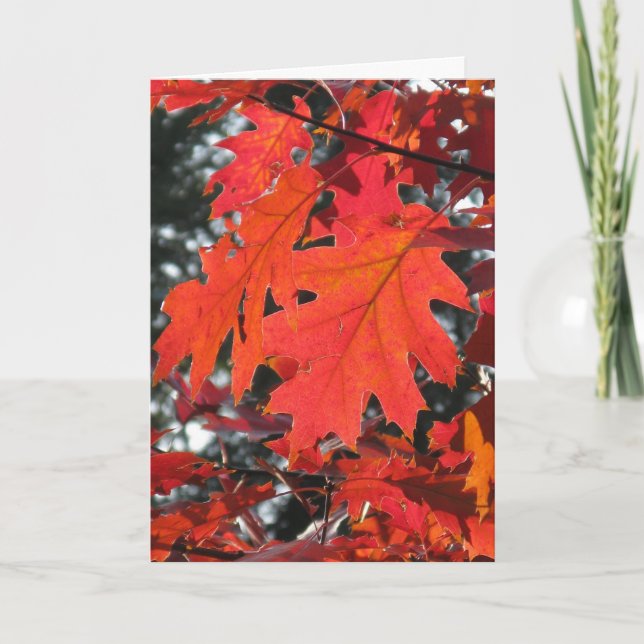 AUTUMN FALL LEAVES HELLO GREETING CARD (Front)