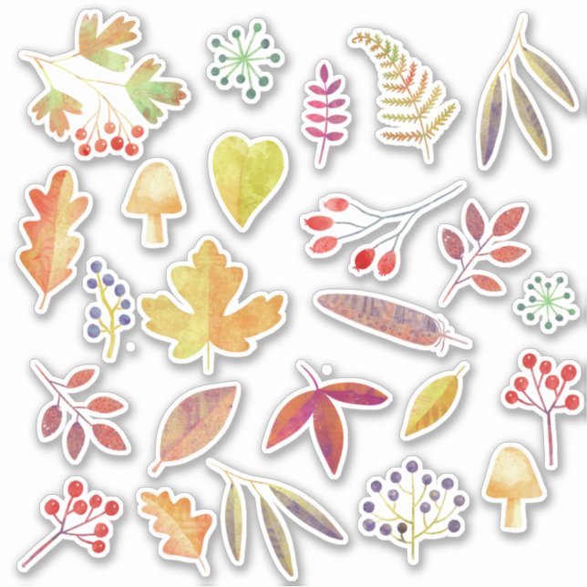 Autumn Fall Leaves Nature (Front)