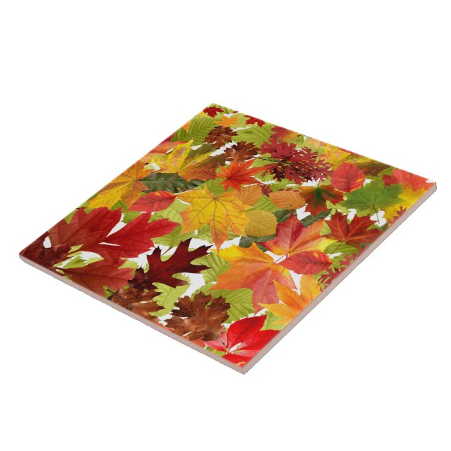 Autumn Fall Leaves Tile (Side)