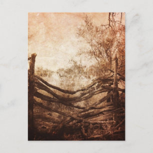 Autumn Fall rural landscape Rustic Farm Fence Postcard