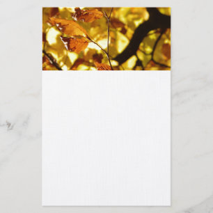 Autumn Fall Tree Leaves Seasons Destiny Nature Stationery