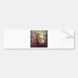 Autumn fall tree silhouettes bumper sticker