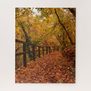Autumn Fall Trees Nature Leaves Orange Yellow Jigsaw Puzzle