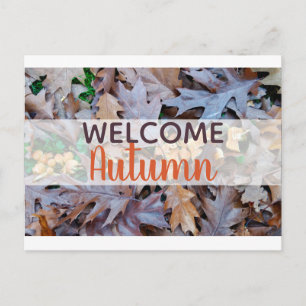 Autumn fallen leaves brown foliage holiday postcard