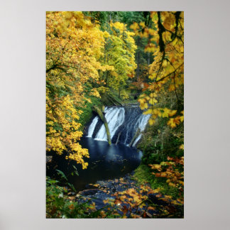 Autumn Falls Poster