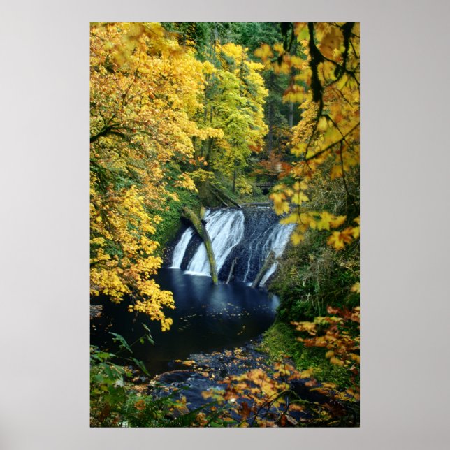 Autumn Falls Poster (Front)