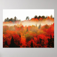Autumn Field Adirondacks Trees Scene Landscape