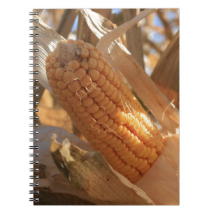 Autumn Field Corn on Stalk Spiral Notebook