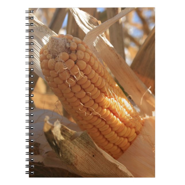 Autumn Field Corn on Stalk Spiral Notebook (Front)