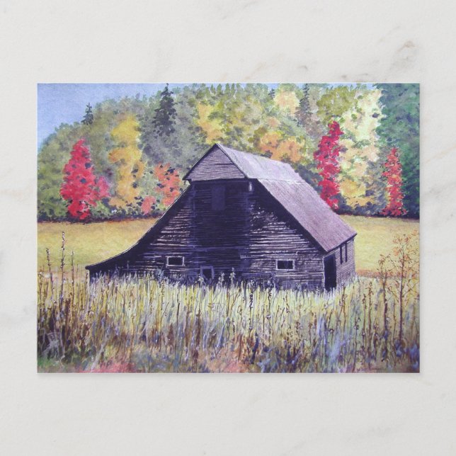 Autumn Field- postcard (Front)