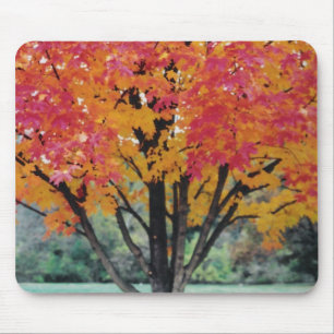 Autumn Fire Mouse Pad
