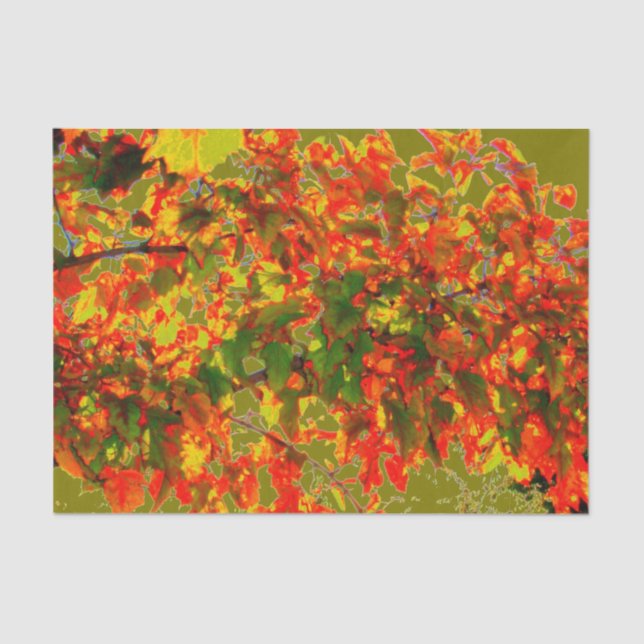 'Autumn Fire' Tissue Paper (Front)
