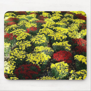 'Autumn Flowers' Mousepad