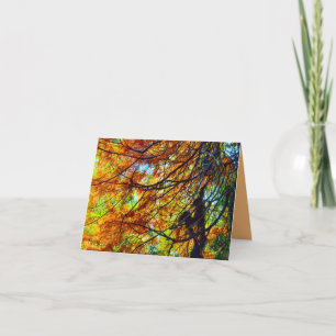 Autumn Foliage and Light Card