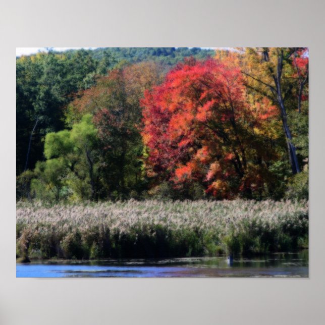 Autumn Foliage Bordering A Marsh Nature Poster (Front)