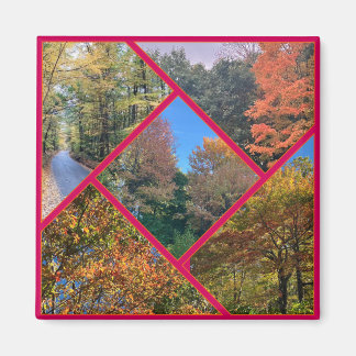 Autumn Foliage Collage Magnet