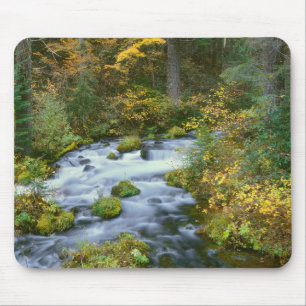 Autumn foliage & Douglas Fir Border Roaring River Mouse Pad
