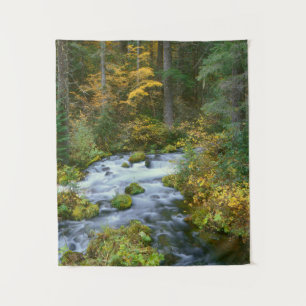 Autumn foliage & Douglas Fir Border Roaring River Tapestry