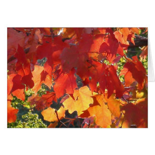Autumn Foliage greeting card
