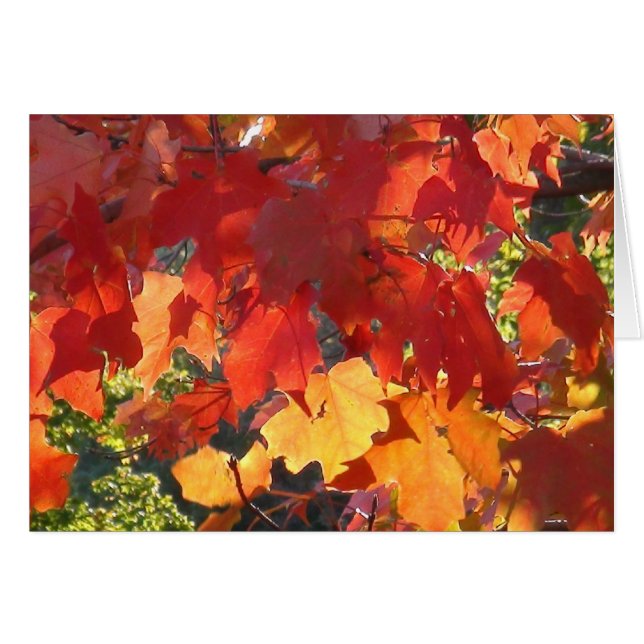 Autumn Foliage greeting card (Front Horizontal)