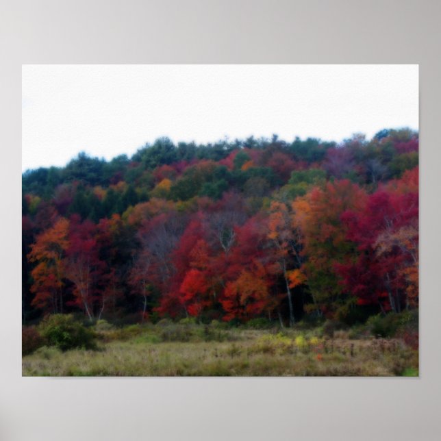 Autumn Foliage In Field Nature Poster (Front)